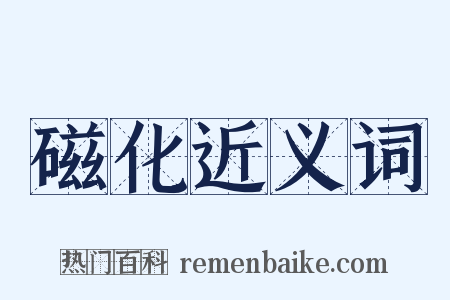 磁化近义词是什么意思的图片